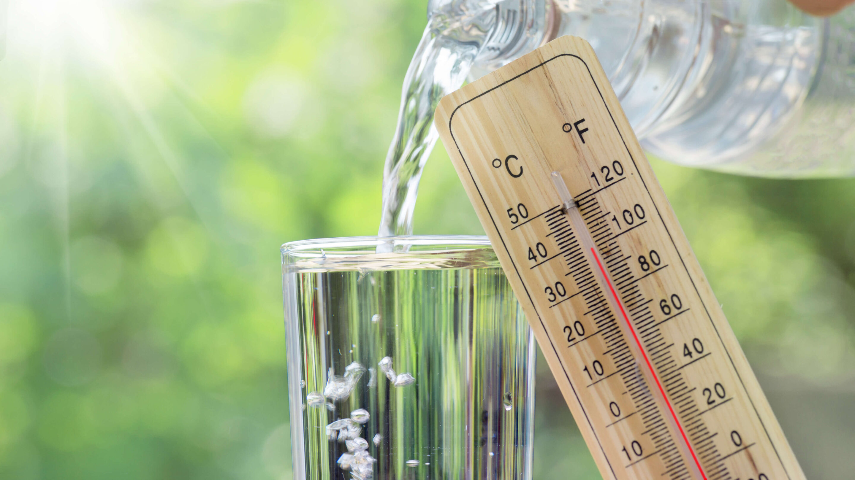 canicule scaled