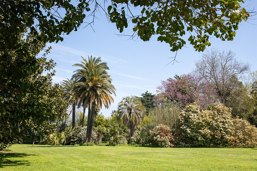 JARDIN DES PLANTES