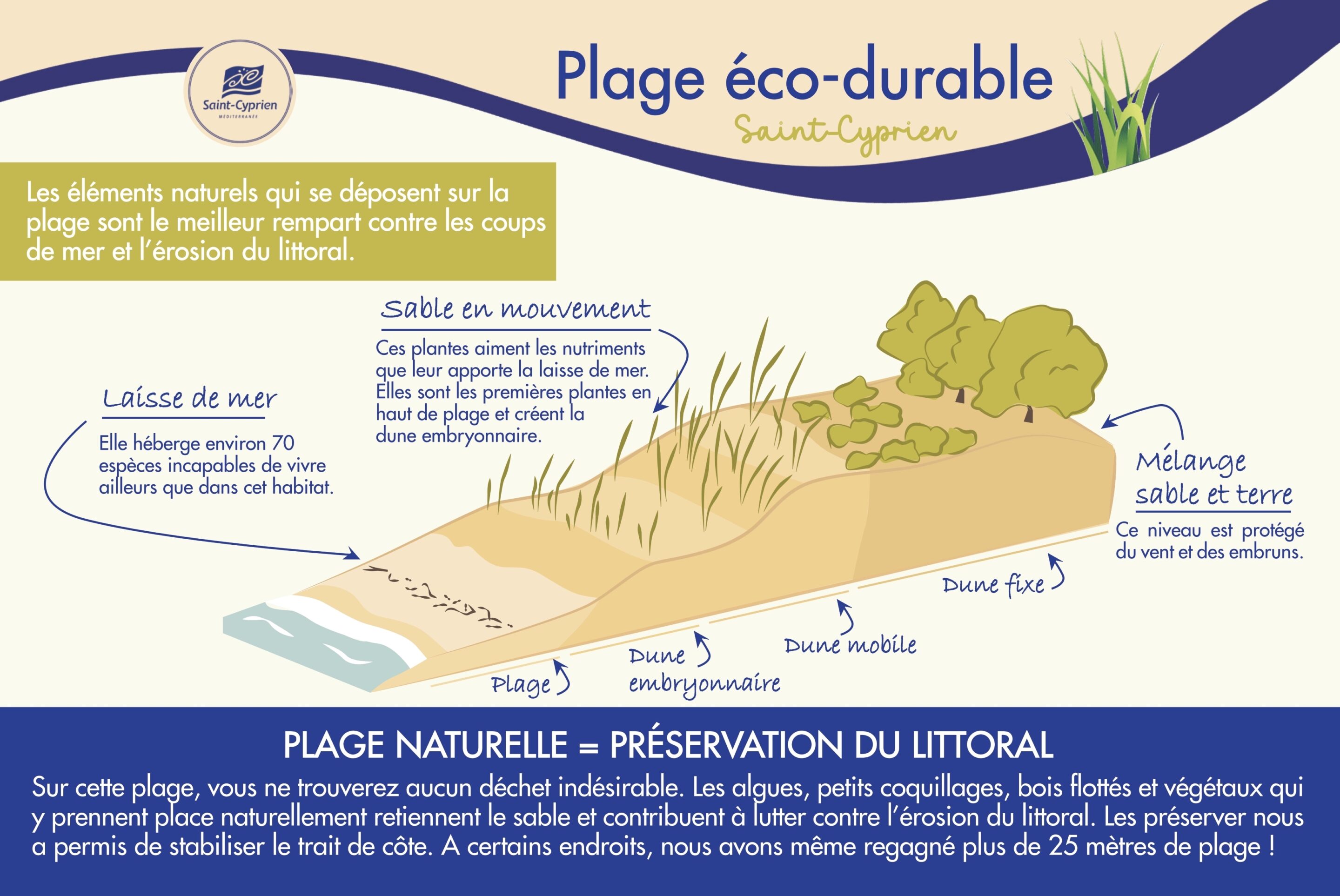 Non, la plage n’est pas sale…elle est vivante !
