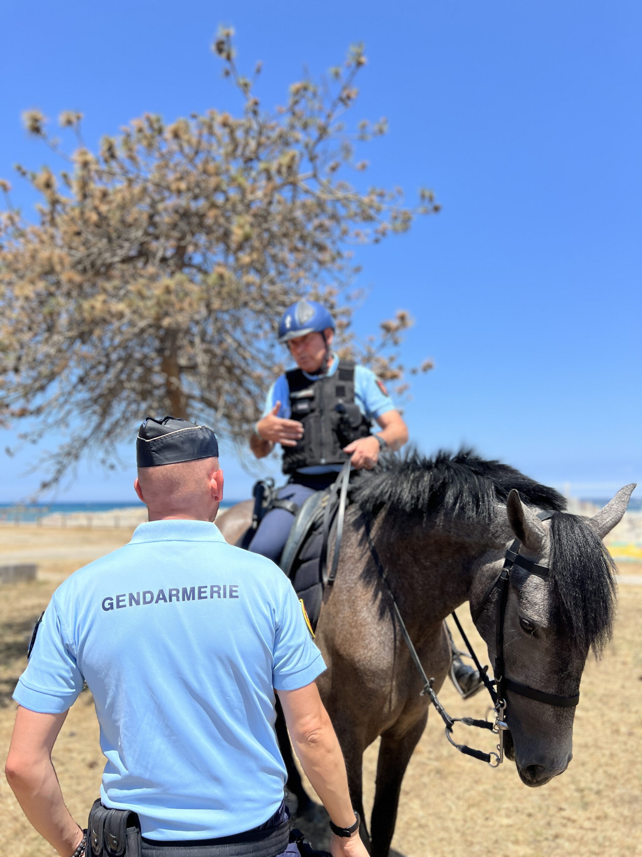 gendarmerie equestre scaled