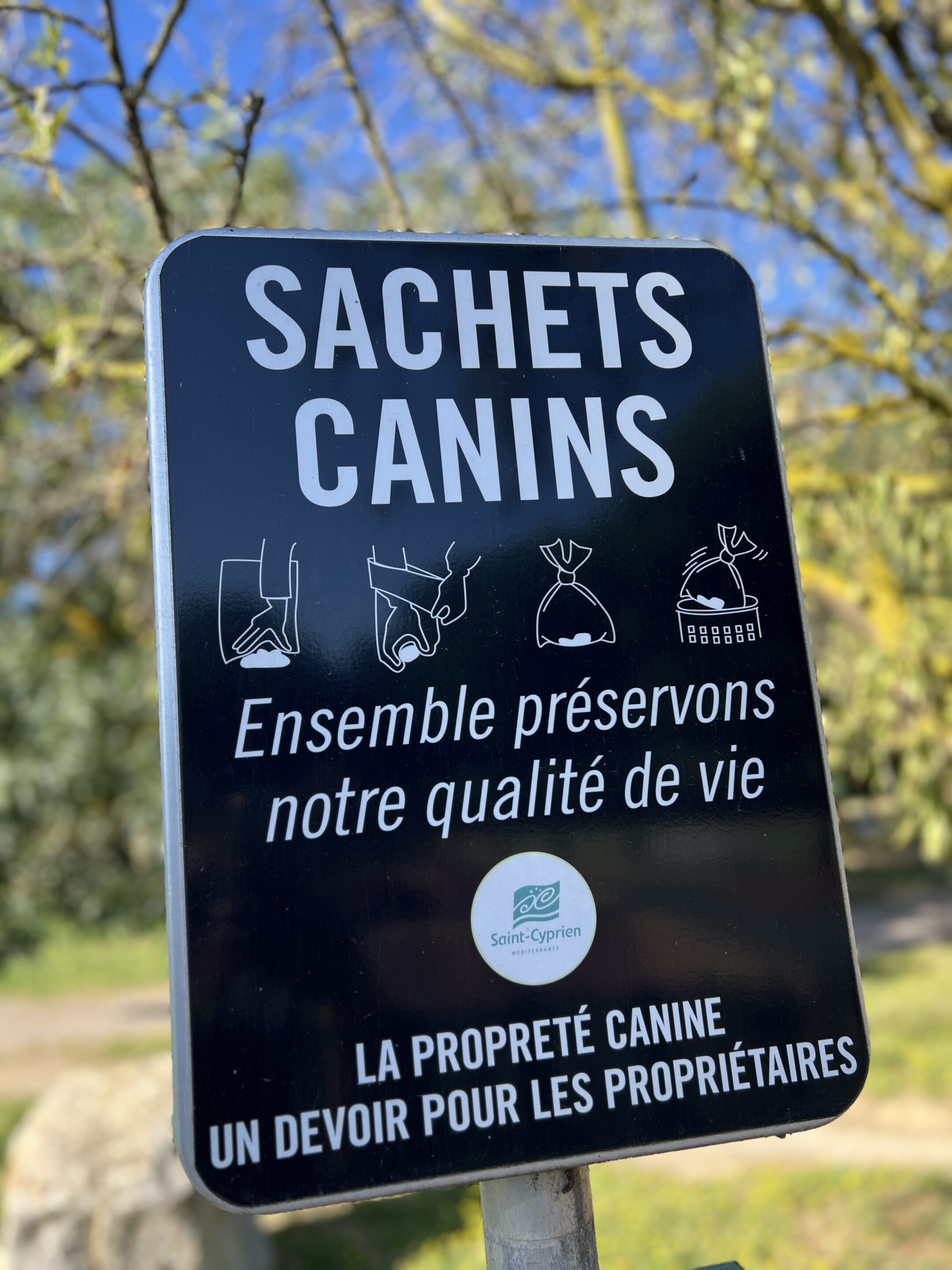sachets canins scaled