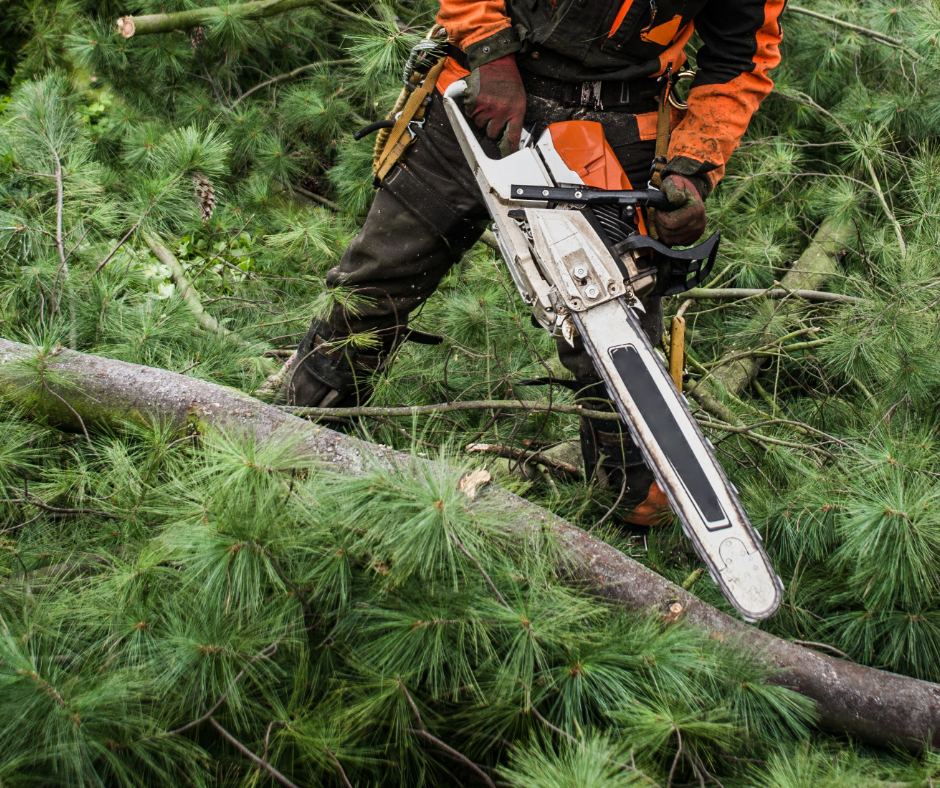 Obligation de débroussaillement avant le 15 avril
