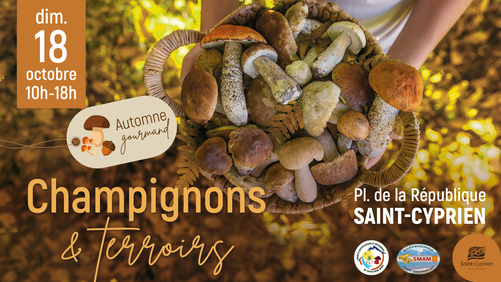 Nouveauté : l’automne gourmand arrive à Saint-Cyprien !